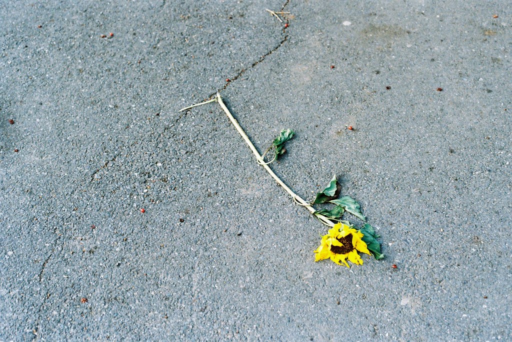 Very Serious thematic concerns